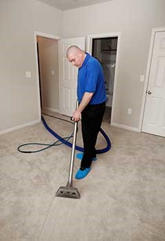 Professional Carpet Cleaning In Venice