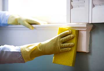 Local Cleaning Services In Venice CA