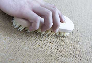 Who Should You Blame For Premature Aging Of Your Carpet | Venice, CA