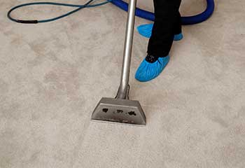 Best Carpet Cleaning Service - Venice