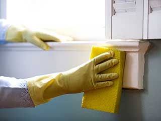 House Cleaning Services | Venice House Cleaning Near Me - Venice CA