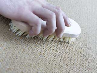 Who Should You Blame For Premature Aging Of Your Carpet | Venice, CA